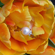 Кольцо Mikimoto