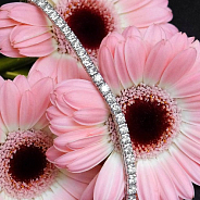 Теннисный браслет 4,80 ct