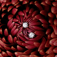 Серьги-пусеты 0.57 ct