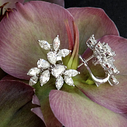 Серьги 6.00 ct