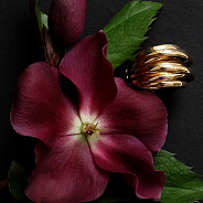 Кольцо de Grisogono Allegra